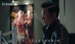 拳王电视剧在线观看,热血拳击，激荡青春，在线观看，燃情岁月