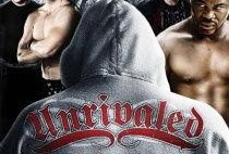 《无可匹敌》在线观看,巅峰对决的传奇故事